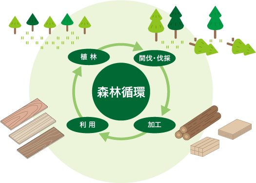 森林循環 植林→間伐・伐採→加工→利用
